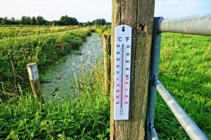 thermometer-2906817_Mabel Amber_pixabay