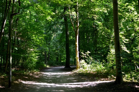 Naturschutz-Aktionstag im Pinneberger Fahlt