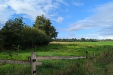 Spazierrunde_Appen_Blick_Pinnauniederung