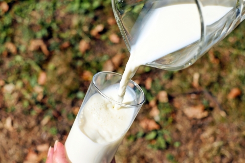 Tag der Milch