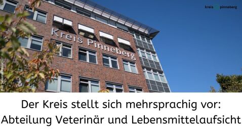 Klicken Sie hier, um das Video anzuzeigen.